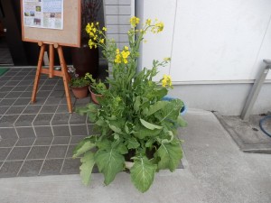 P2180177